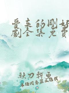 爱来的刚好电视剧全集免费播放