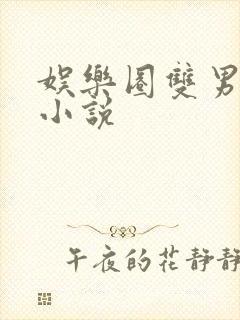 娱乐圈双男主的小说