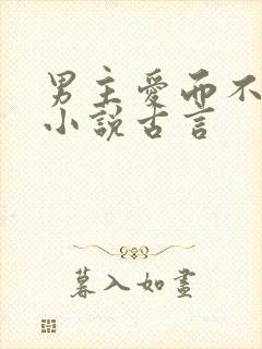 男主爱而不得的小说古言