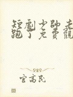 短剧少帅老婆又跑了免费观看全集