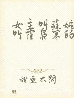 女主叫苏婉男主叫霍枭寒的小说