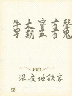 牛大宝有声小说星期五有鬼