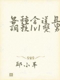 各种含道具高h调教1v1双男主