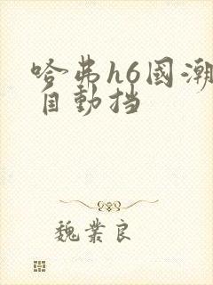 哈弗h6国潮版自动挡