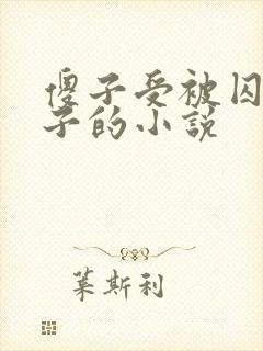 傻子受被囚禁生子的小说