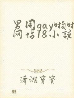 男同gay啪啪网站18小说