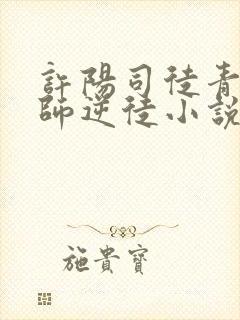 许阳司徒青青冲师逆徒小说