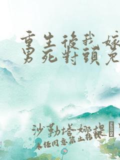 重生后我嫁给渣男死对头免费观看