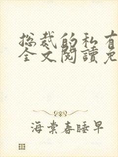 总裁的私有宝贝全文阅读免费版