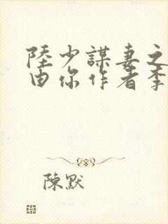 陆少谋妻之婚不由你作者李不言