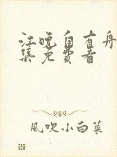 江晚自有舟渡全集免费看