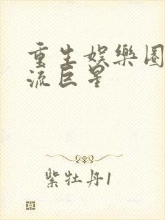 重生娱乐圈之名流巨星