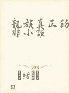 龙族真正的路明非小说