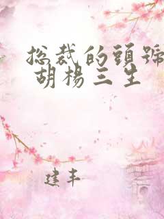 总裁的头号佳妻 胡杨三生