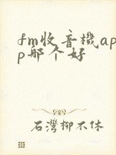 fm收音机app哪个好