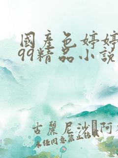 国产色婷婷亚洲99精品小说