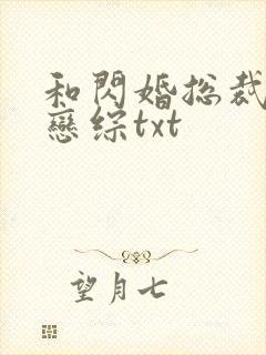 和闪婚总裁上了恋综txt