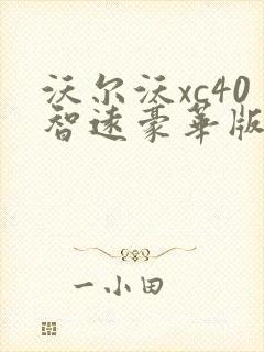 沃尔沃xc40智远豪华版