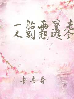 一胎两宝老婆大人别想逃全文免费阅读