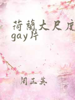 荷兰大尺度真做gay片