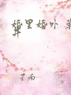 婚里婚外 叶晓井