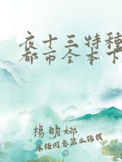 夜十三特种兵在都市全本下载