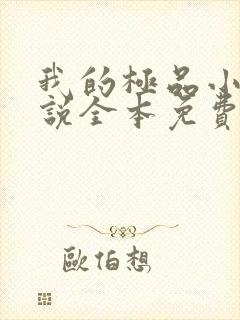 我的极品小姨小说全本免费下载