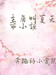 主角叫夏天的都市小说