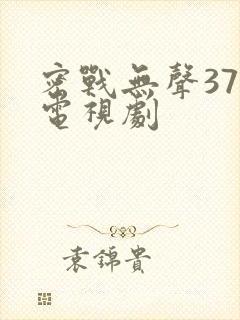 密战无声37集电视剧