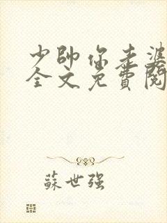 少帅你老婆跑了全文免费阅读免费