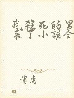 我杀死的男人回来了小说全文阅读