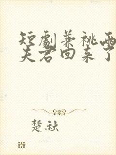 短剧兼祧两房后夫君回来了