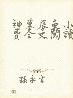 神墓辰东小说免费全文阅读