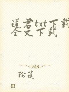 道君txt下载全文下载