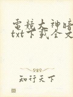 电竞大神暗恋我txt下载全文