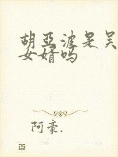 胡亚波是吴怡侄女婿吗