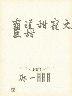 霸道甜宠文推荐巨甜