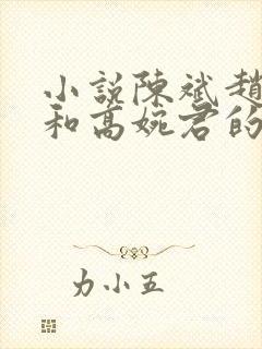 小说陈斌赵心媚和高婉君的小说免费阅读