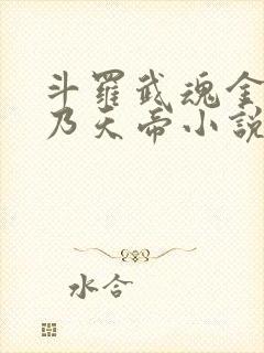 斗罗武魂金乌吾乃天帝小说