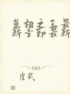 万相之王最新更新章节最新