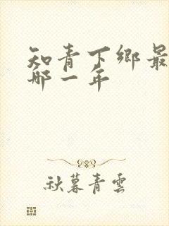 知青下乡最后是哪一年