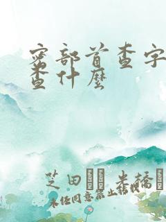 密部首查字法先查什么