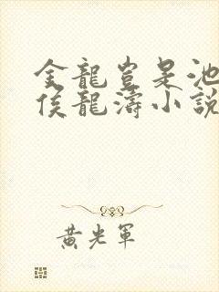 金龙岂是池中物侯龙涛小说