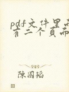 pdf文件里面有二个页面怎么拆分