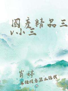 国产精品三级av小三