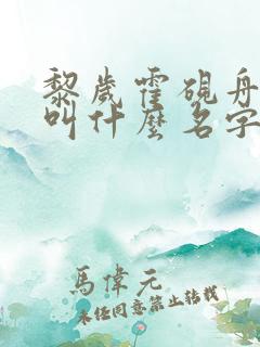 黎岁霍砚舟小说叫什么名字