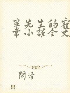 宁先生的宠妻日常小说全文免费阅读