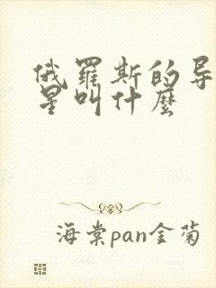 俄罗斯的导航卫星叫什么