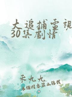 大追捕电视剧全30集剧情