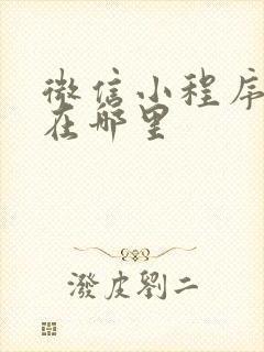 微信小程序首页在哪里